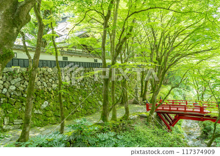 岐阜縣揖斐川町,西美濃三十三聖地第一寺的新綠中橫藏寺的紅橋 岐阜縣揖斐川町,西美濃三十三聖地第一寺的新綠中橫藏寺的紅橋 117374909
