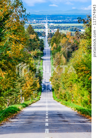 Hokkaido Road to Heaven Autumn Hokkaido Road to Heaven Autumn 117374943