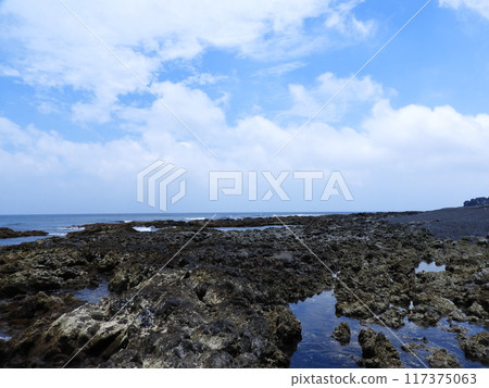 Coastal scenery of Miyakejima in June Coastal scenery of Miyakejima in June 117375063