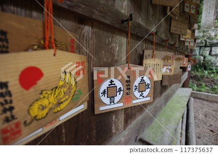 Ariake Shrine 117375637