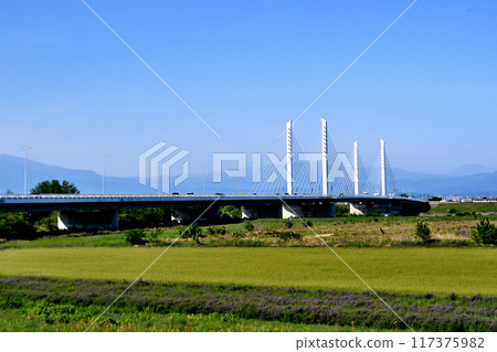 Bando Bridge seen from the riverbed downstream on the right bank of the Tone River 117375982