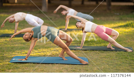 Group of young women doing yoga in park 117376144
