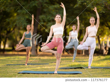 Group of young women doing yoga in tree pose 117376177