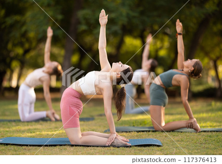 Body stretching and meditation during group yoga classes for young girls in summer park 117376413