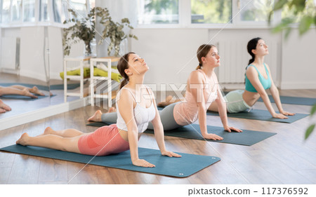 Girl performing stretching asana Urdhva Mukha Shvanasana in yoga studio 117376592