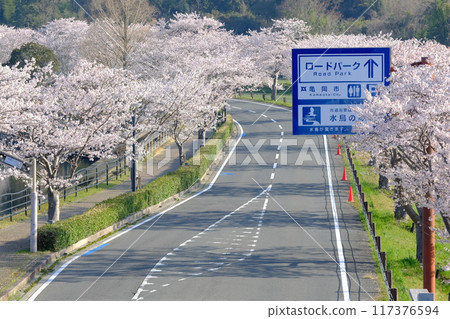 通往泉水鳥路公園的路 117376594