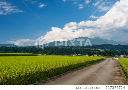 Nostalgic rural scenery: Yamanashi's original landscape 117376724