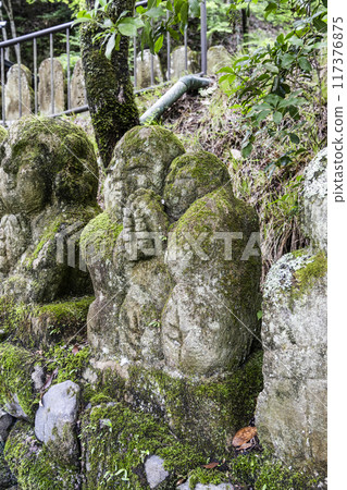 arhat, kyoto, moss 117376875