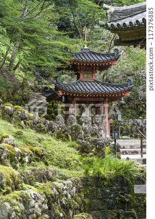 京都愛宕念佛寺 117376885