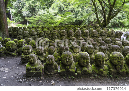 Kyoto Otagi Nenbutsu Temple 117376914
