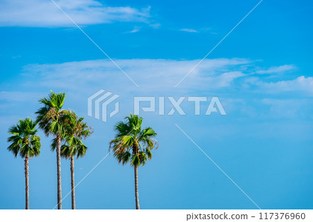 Beautiful tropical beach and azure sky Beautiful tropical beach and azure sky 117376960
