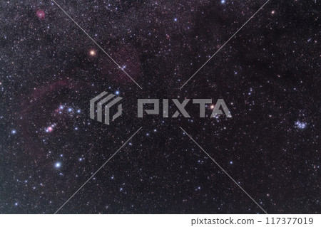 獵戶座和金牛座 117377019