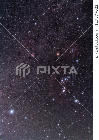 Orion and Sirius Orion and Sirius 117377022