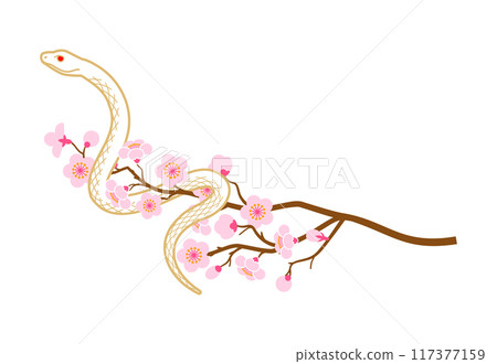 White snake and cherry blossom branch (left facing) - 2025 New Year's card material 117377159