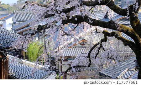 Streetscape around Sanneizaka in spring Streetscape around Sanneizaka in spring 117377661