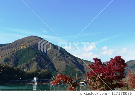 Tanzawayama腫塊 117378086