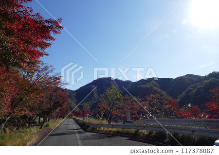 Tanzawayama腫塊 Tanzawayama腫塊 117378087