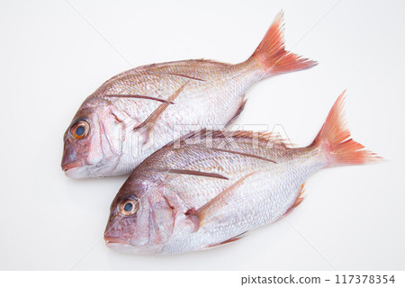 Red sea bream, cooked Red sea bream, cooked 117378354