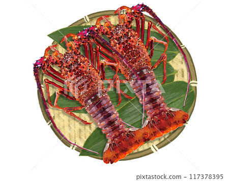 2 spiny lobsters) with colander and bamboo leaves 117378395