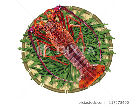 Spiny lobster (1 tail) with colander and cypress leaves 117378400