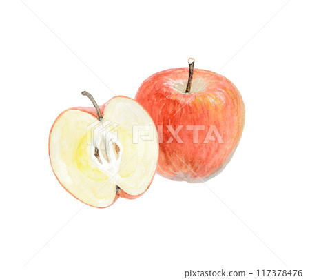 Image of an apple painted with watercolors 117378476