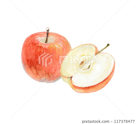 Image of an apple painted with watercolors 117378477