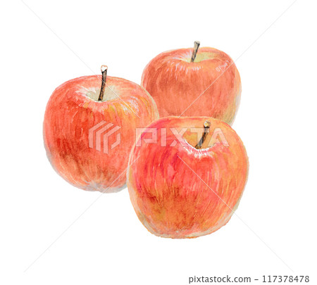 Three apples painted with watercolors 117378478