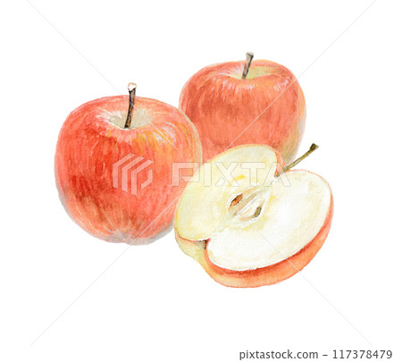 An image of three apples painted with watercolors 117378479