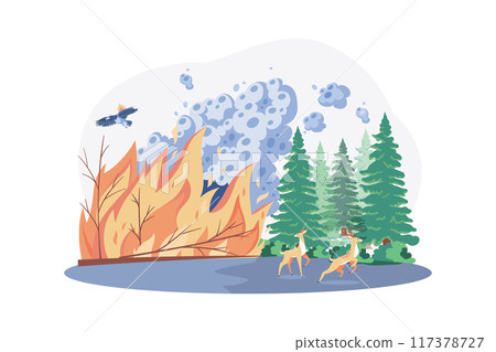Forest Fires Illustration concept on white background 117378727