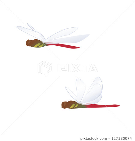 Illustration of a red dragonfly flying sideways 117380074