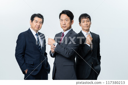 Executive businessman 117380213