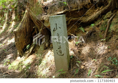 從大神神社到日野原神社的山路 從大神神社到日野原神社的山路 117380403