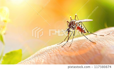 A tiny mosquito, its proboscis poised for a bloodsucking feast. 117380874
