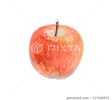 用水彩畫的蘋果 用水彩畫的蘋果 117380972