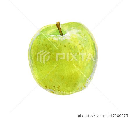 Green apple painted with watercolors Green apple painted with watercolors 117380975