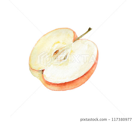Cross-section of an apple drawn with watercolors Cross-section of an apple drawn with watercolors 117380977