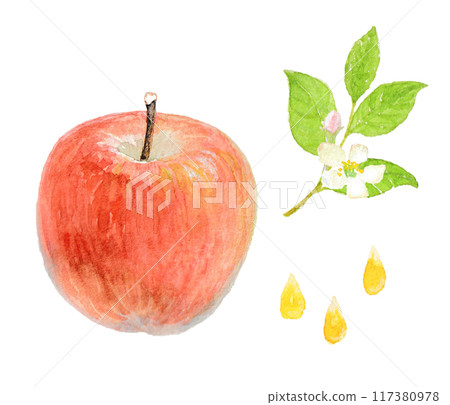 Image of an apple painted with watercolors 117380978
