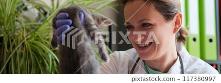 Smiling woman veterinarian holding small kitten in hands Smiling woman veterinarian holding small kitten in hands 117380997