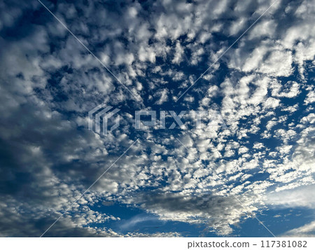 秋天的天空～天空圖案～ 117381082