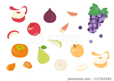 Autumn fruit illustration set Autumn fruit illustration set 117381099
