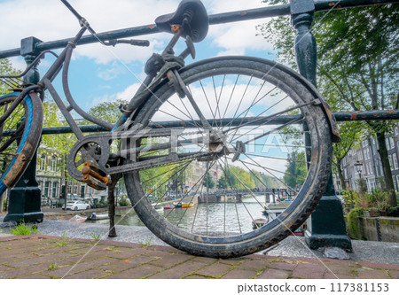 Bicycle Raised from Canal Bottom in Amsterdam 117381153
