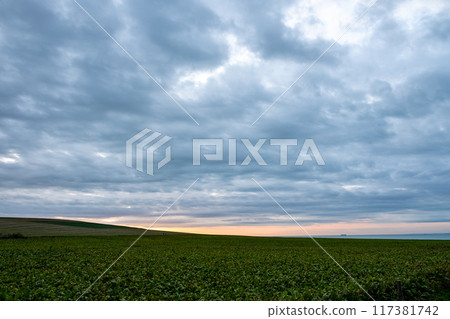 Scenic sunrise view over green field with dramatic clouds. Rural landscape stock photo. 117381742