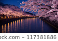 夜晚的河邊櫻花綻放的美麗燈光 117381886