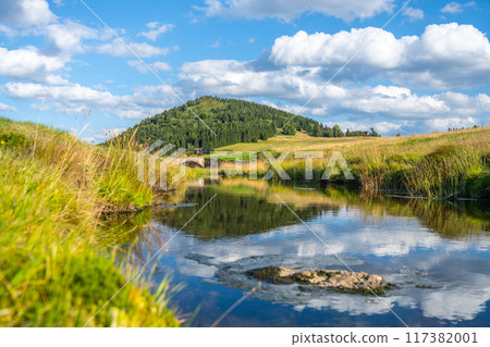 Bukovec Mountain mirrors on a tranquil stream surrounded by grassy fields and scattered clouds in Jizerka Village, Jizera Mountains of Czechia. 117382001