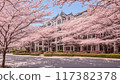 宅邸裡盛開著美麗的櫻花 117382378