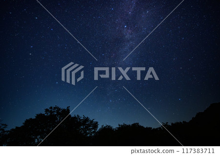 Starry sky: Beautiful galaxy and shining stars in the night sky 117383711