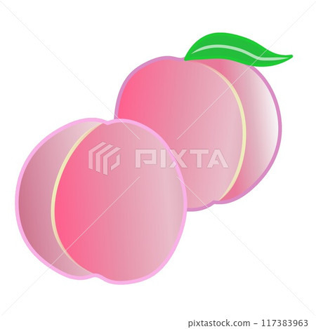 Peach fruit illustration Peach fruit illustration 117383963