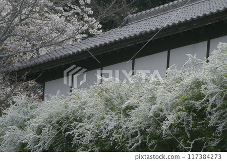 繡線 117384273