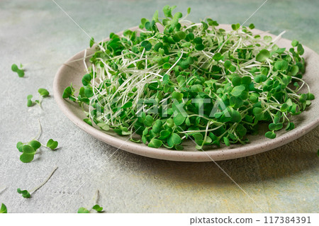 fresh micro-greenery, on a plate, top view, no people, fresh micro-greenery, on a plate, top view, no people, 117384391