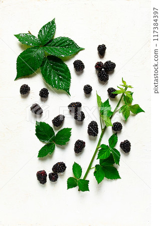 fresh blackberries, with foliage, top view, on a light background, no people, fresh blackberries, with foliage, top view, on a light background, no people, 117384397